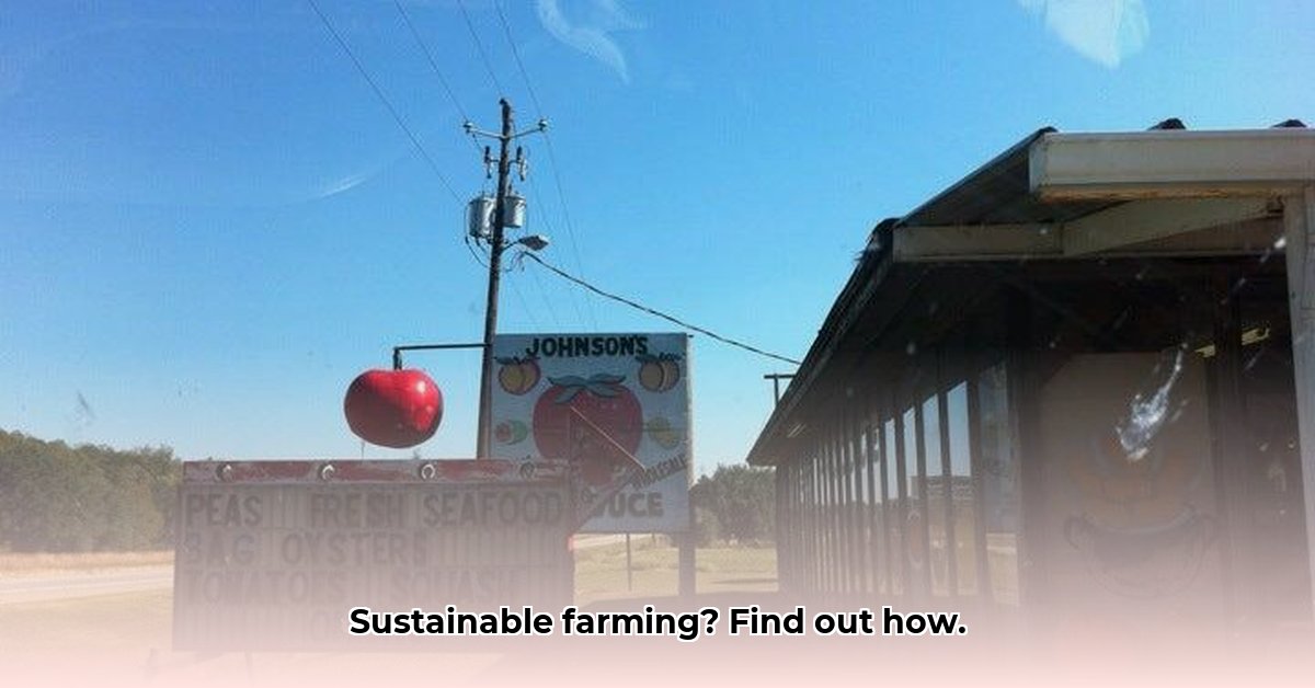 tractor-supply-bainbridge-ga